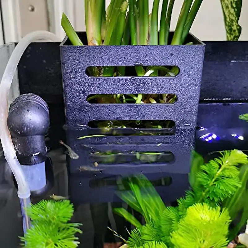 Aquatic Plant Holder| Emerged Plants Holder