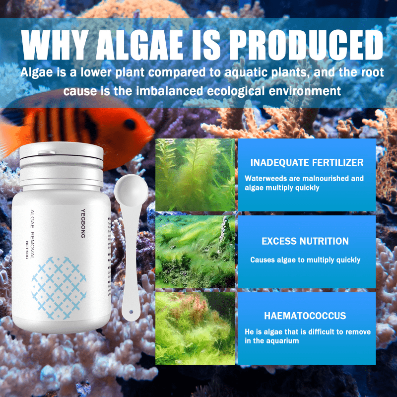 Algae Remover | 50gr