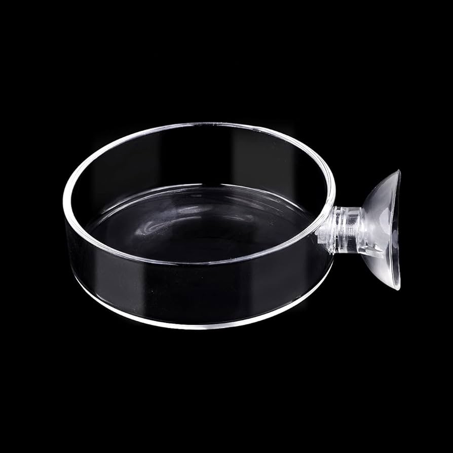 Feeding Dish | Stick on Glass