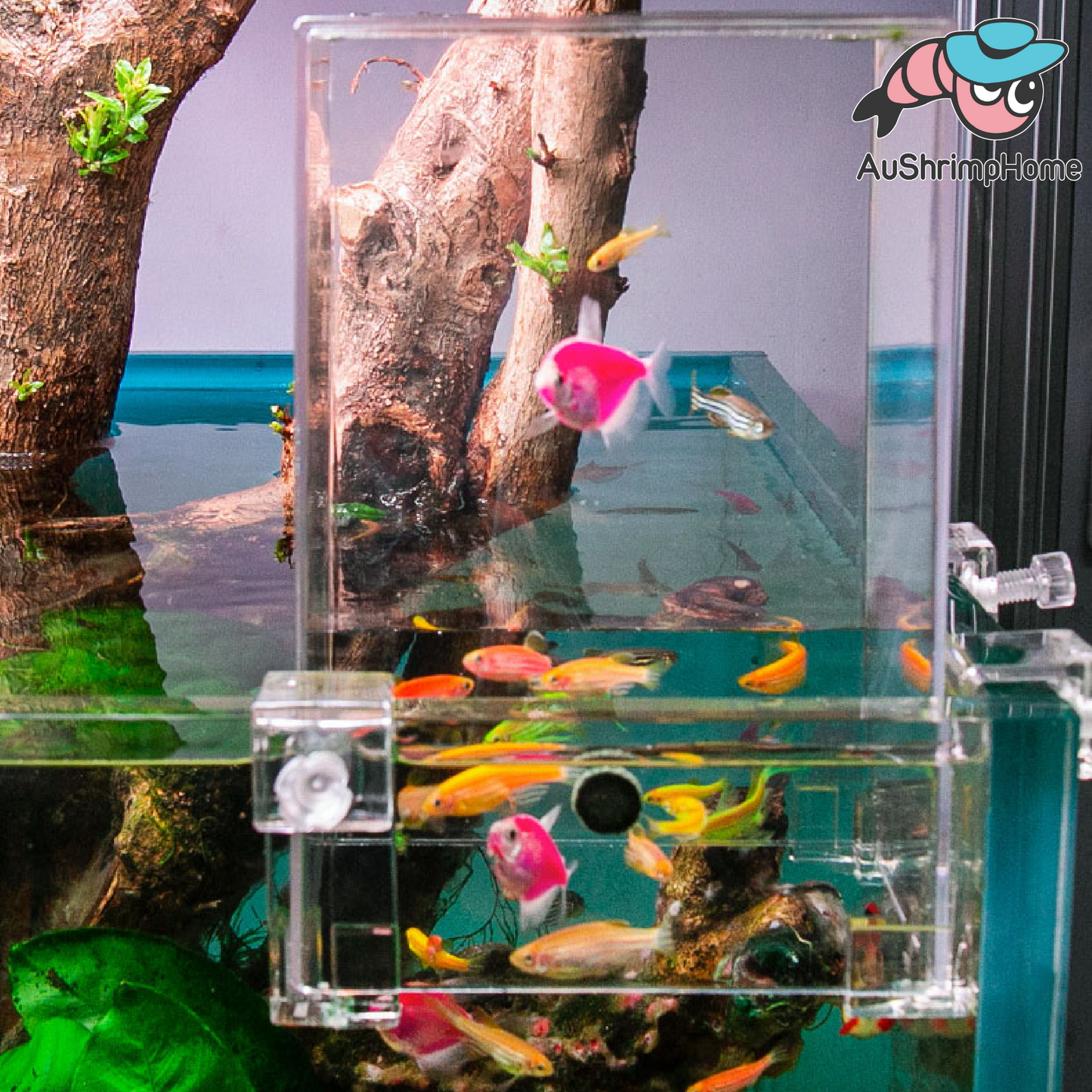 Negative Pressure Tank | Fish Elevator