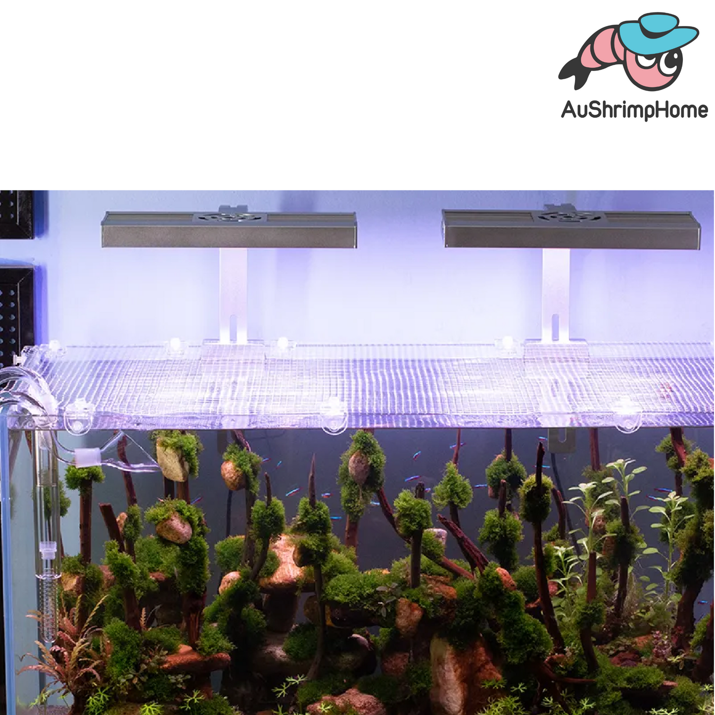 Fish Tank Invisible Anti-Jump Net