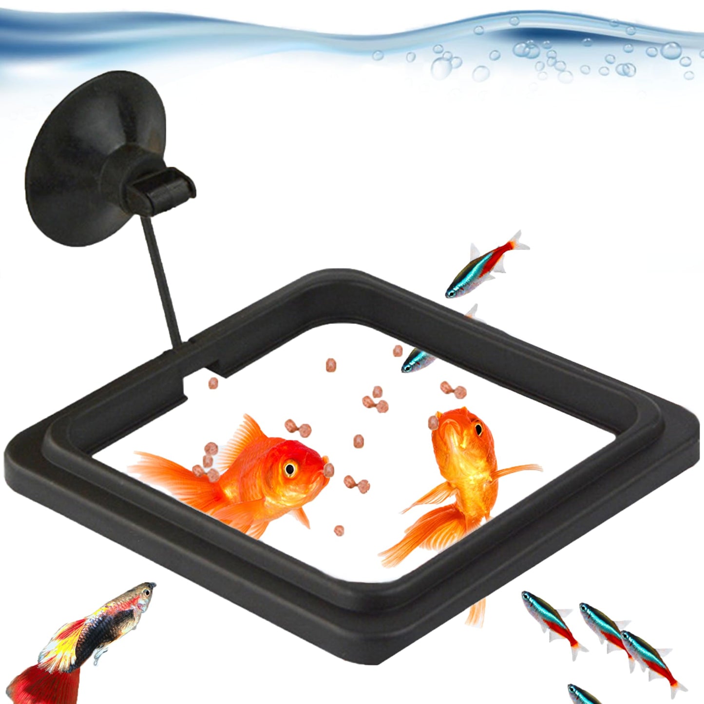 Floating Feeding Ring | Square