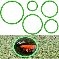 Floating Feeding Ring | Foam Ring