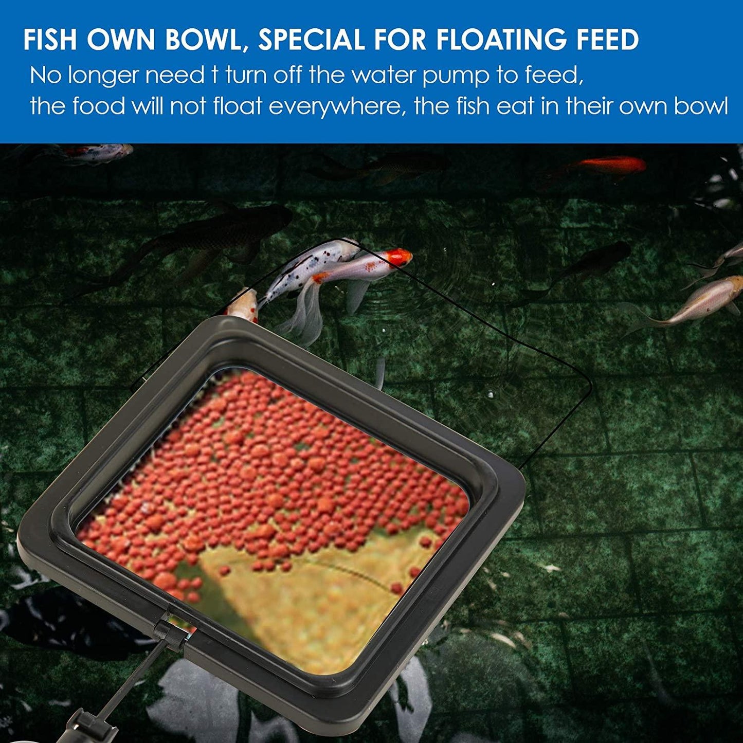 Floating Feeding Ring | Square