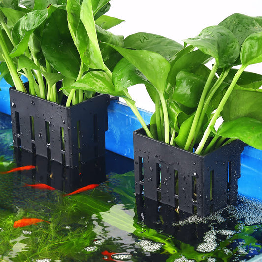 Aquatic Plant Holder| Emerged Plants Holder