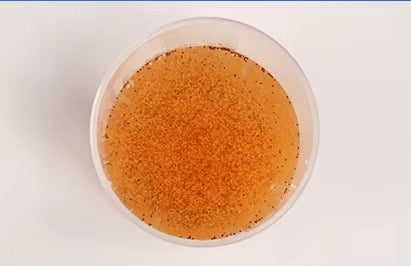 Brine Shrimp Eggs Hatching Kit