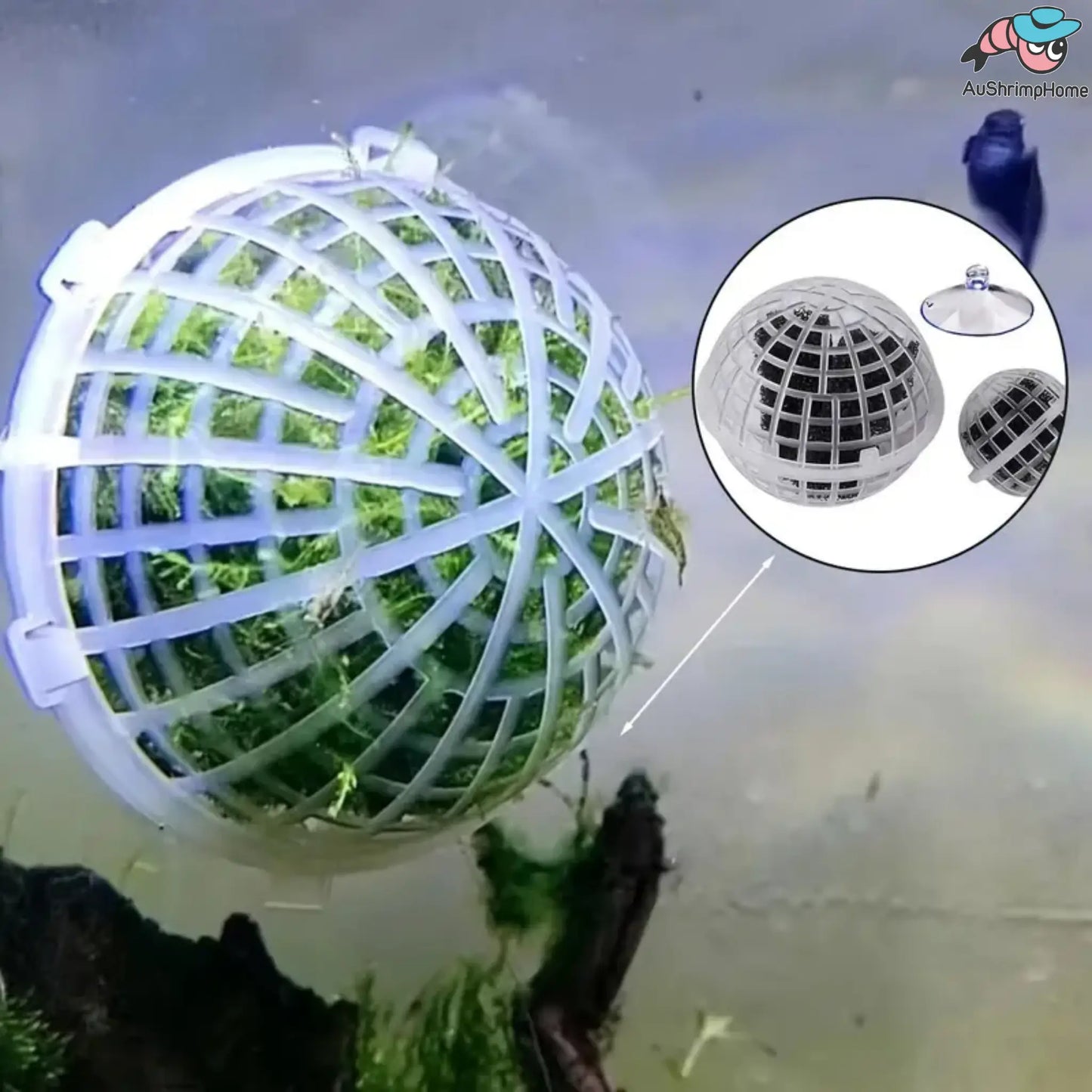 Big Floating Moss Ball | Moss not included