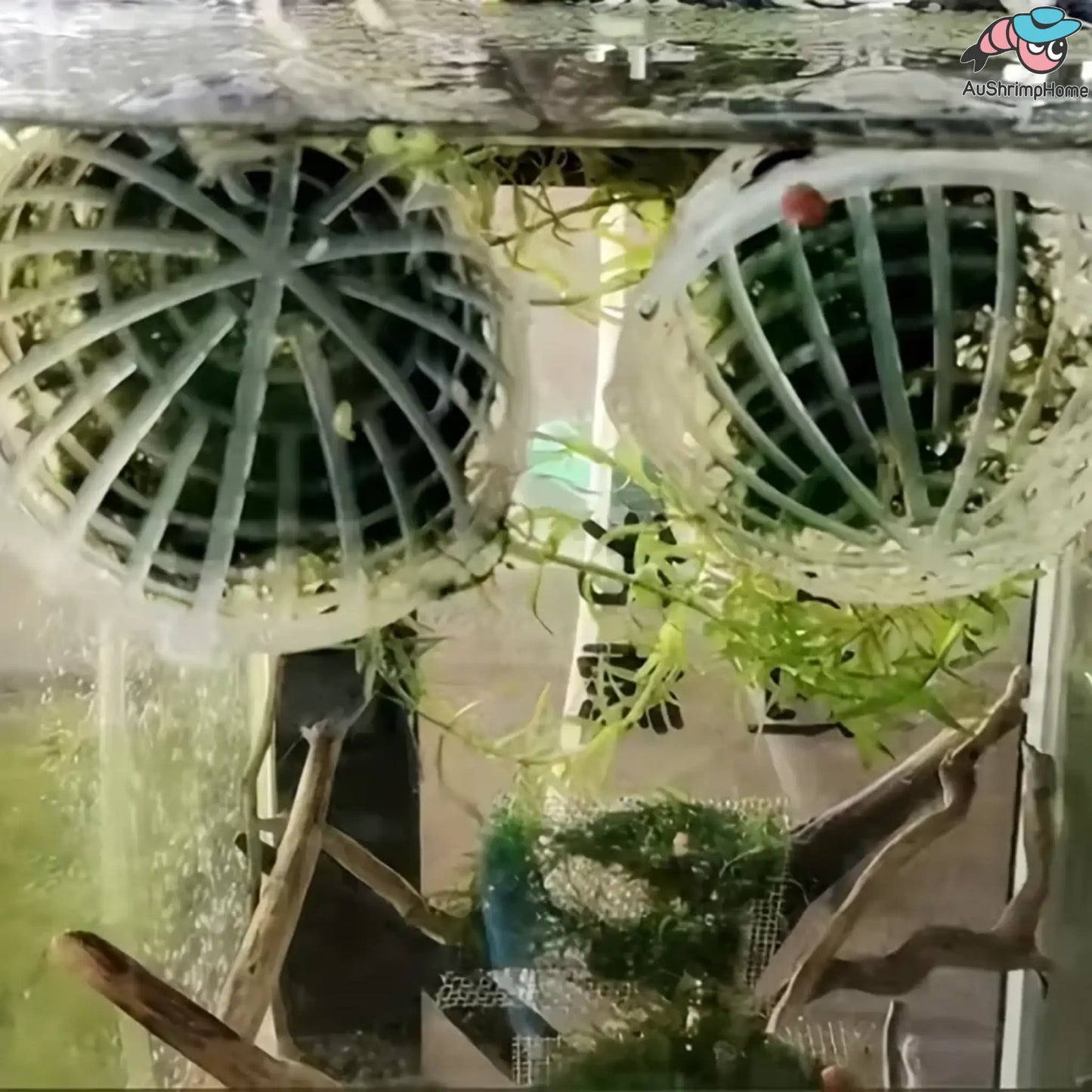 Big Floating Moss Ball | Moss not included