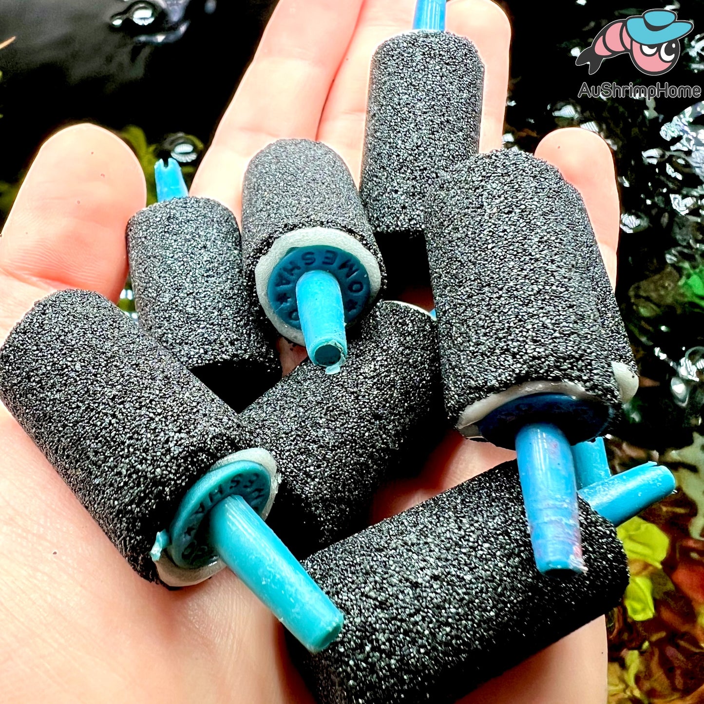 Air Stone