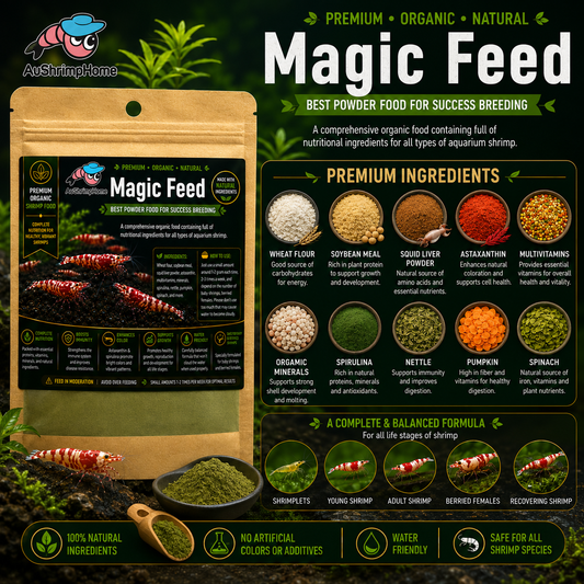 Magic Feed | Comprehensive& Organic Food