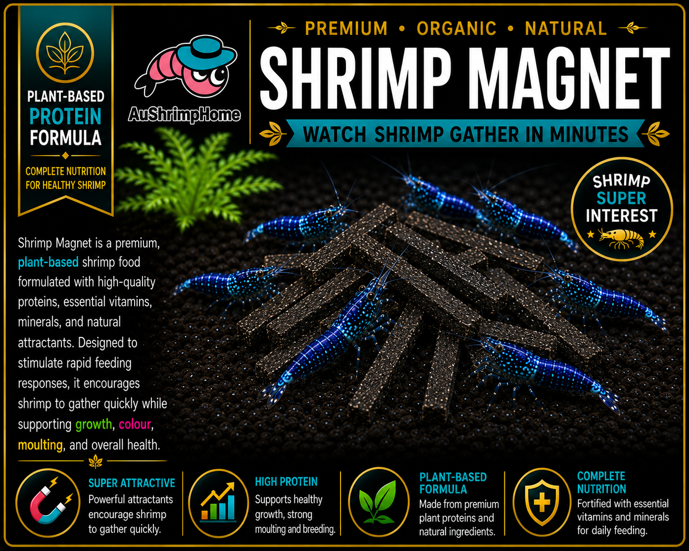 Shrimp Magnet | Watch Shrimps Gather in Minutes