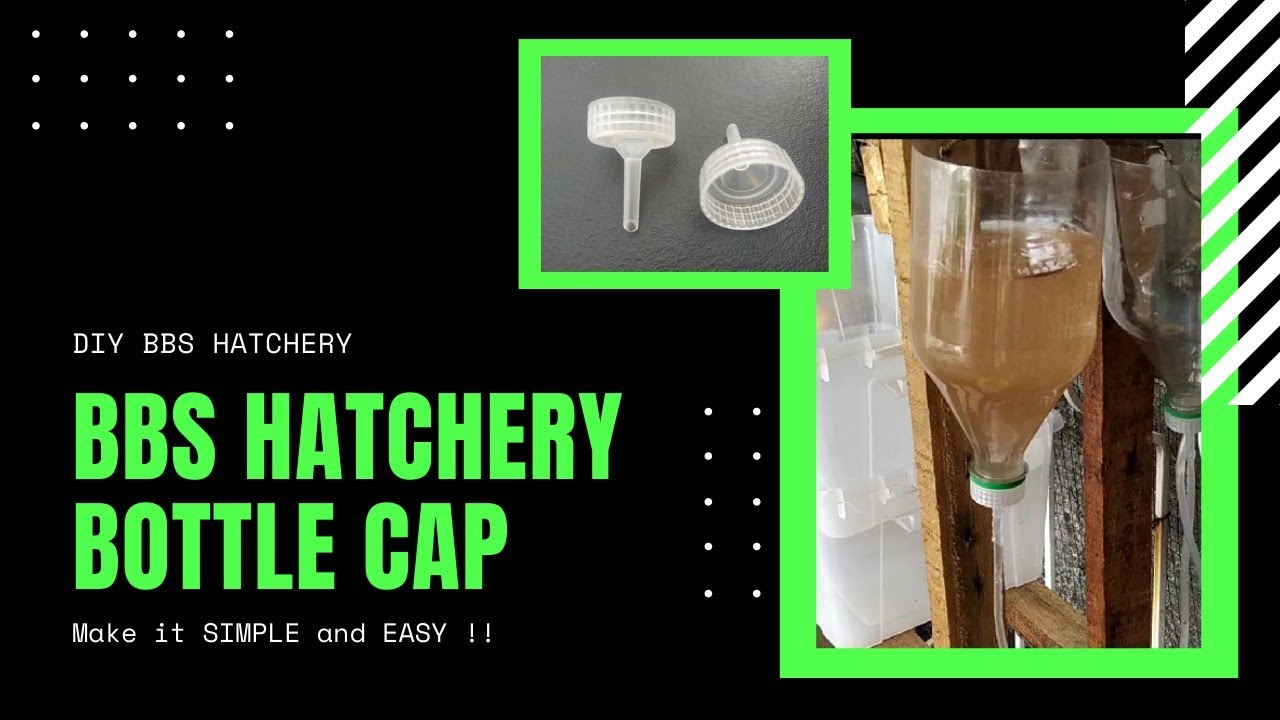 DIY Cap for Brine Shrimp Eggs Incubator