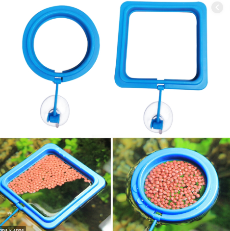 Floating Feeding Ring | Round