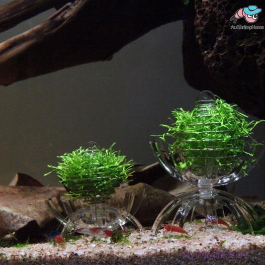 Stainless Steel Feeding Cage | Vegies Feeding Cage