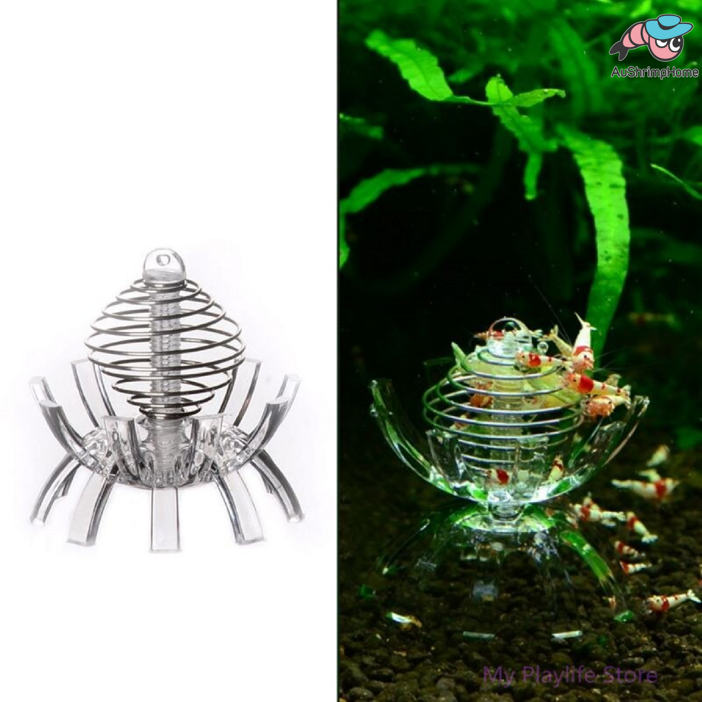 Stainless Steel Feeding Cage | Vegies Feeding Cage