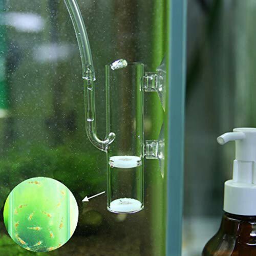 Shrimp Eggs Tumbler/Incubator