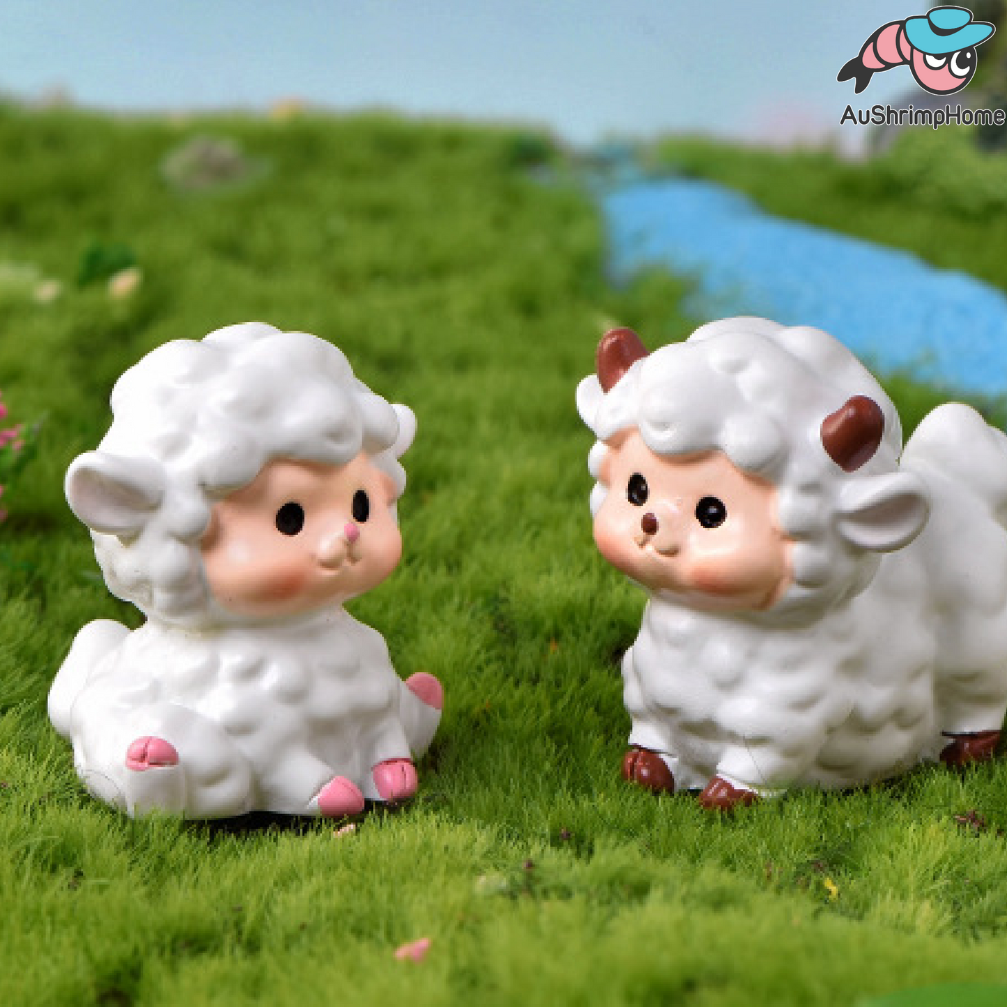 Adorable Sheep