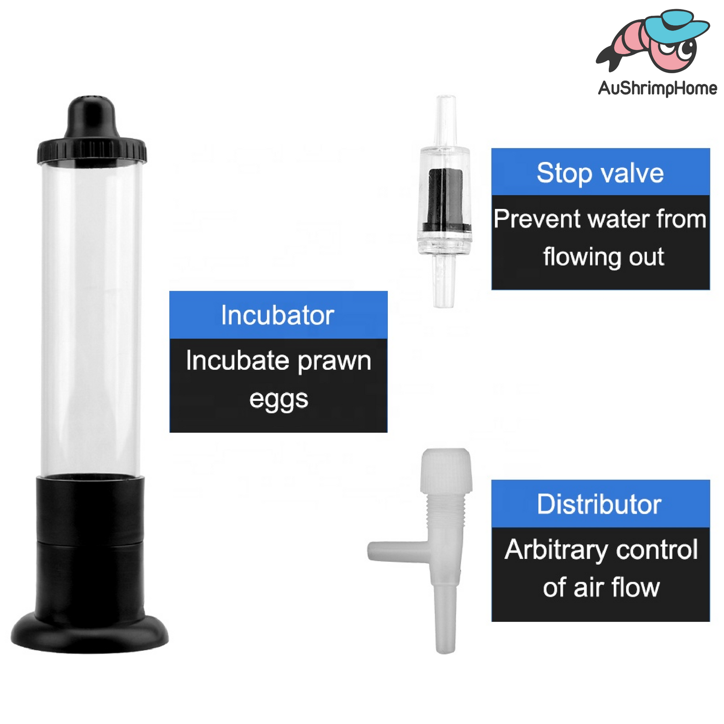 Brine Shrimp Eggs Incubator