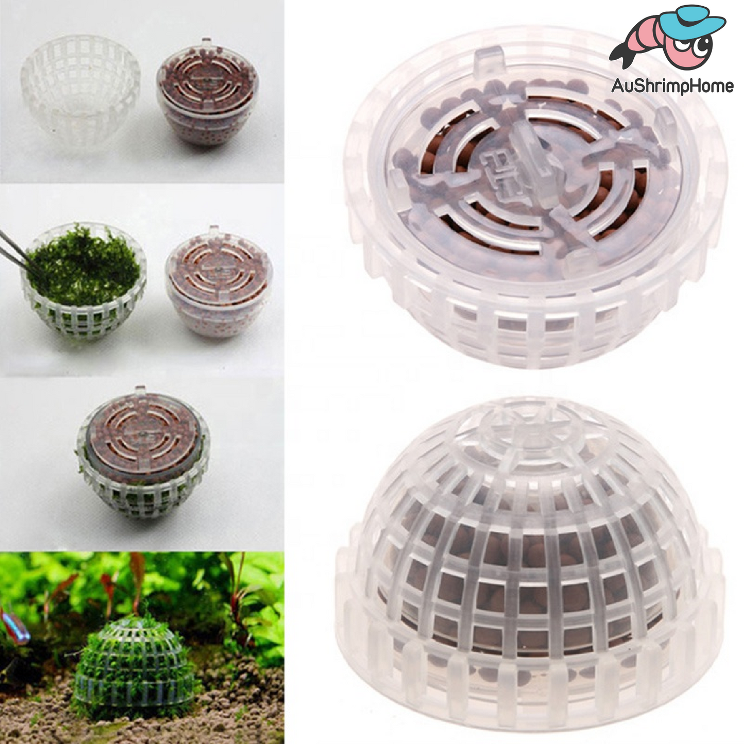 Moss Ball Dome Holder | Marimo Filter