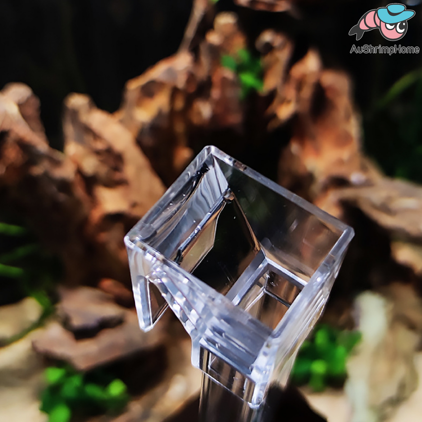 Feeding Tube | 3in1 Version