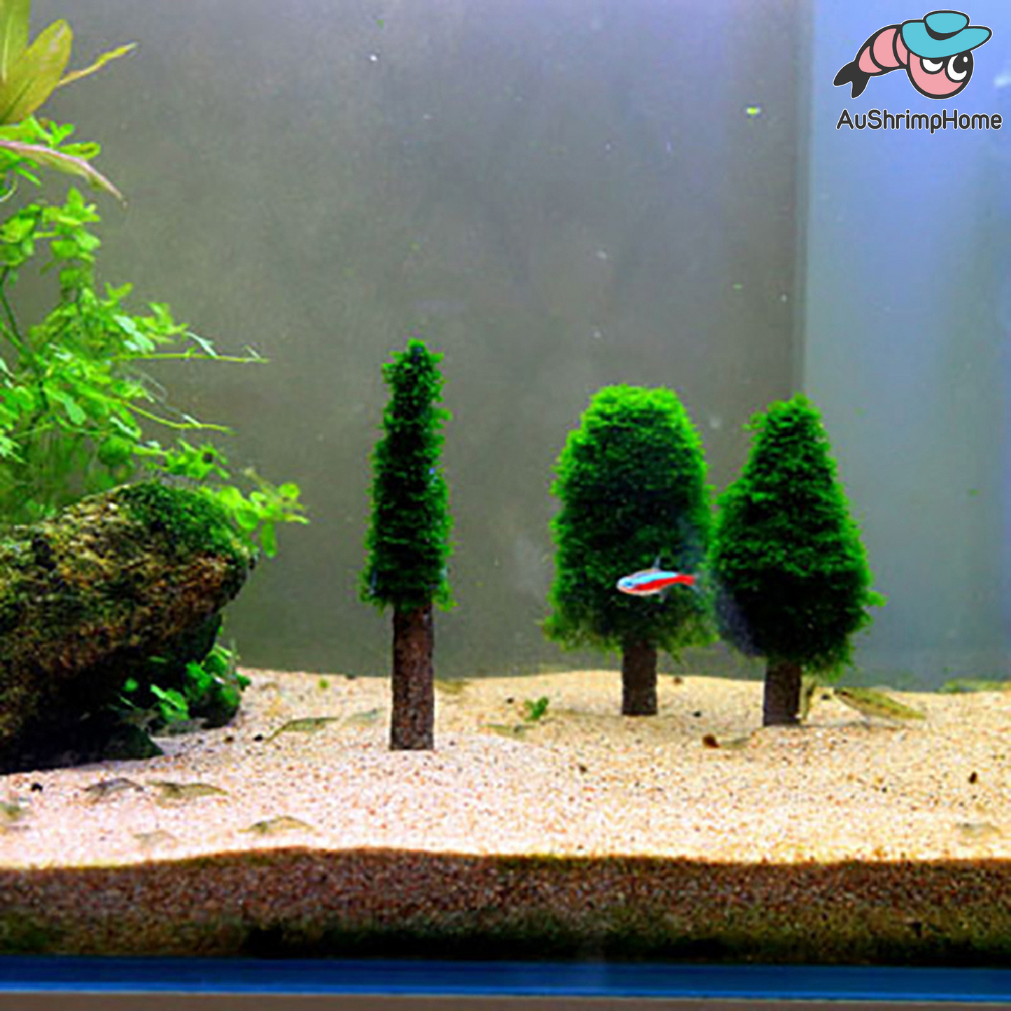 Christmas Tree | Moss not included