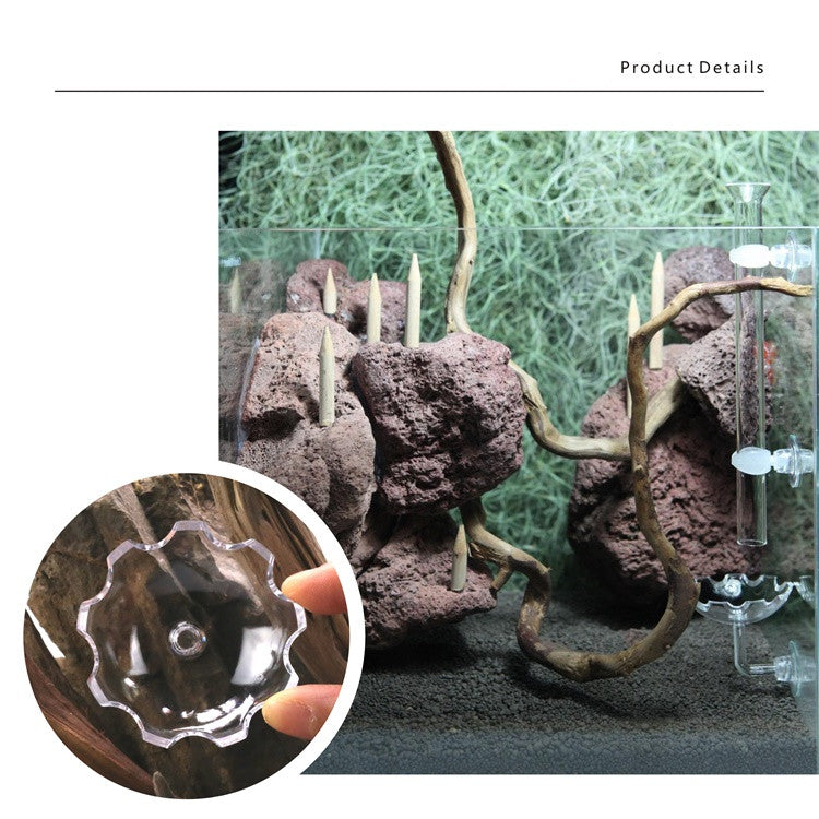 Floating Feeding Dish | Basin Shape