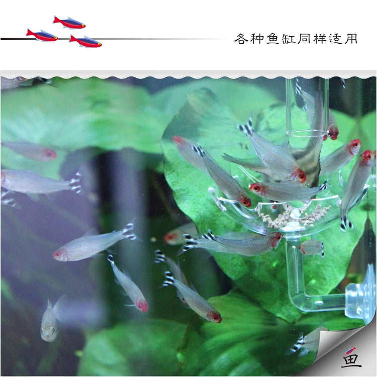 Floating Feeding Dish | Basin Shape