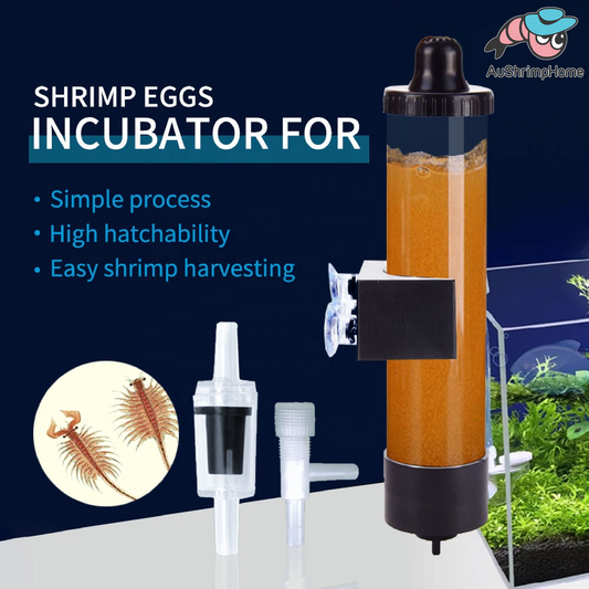 Brine Shrimp Eggs Incubator