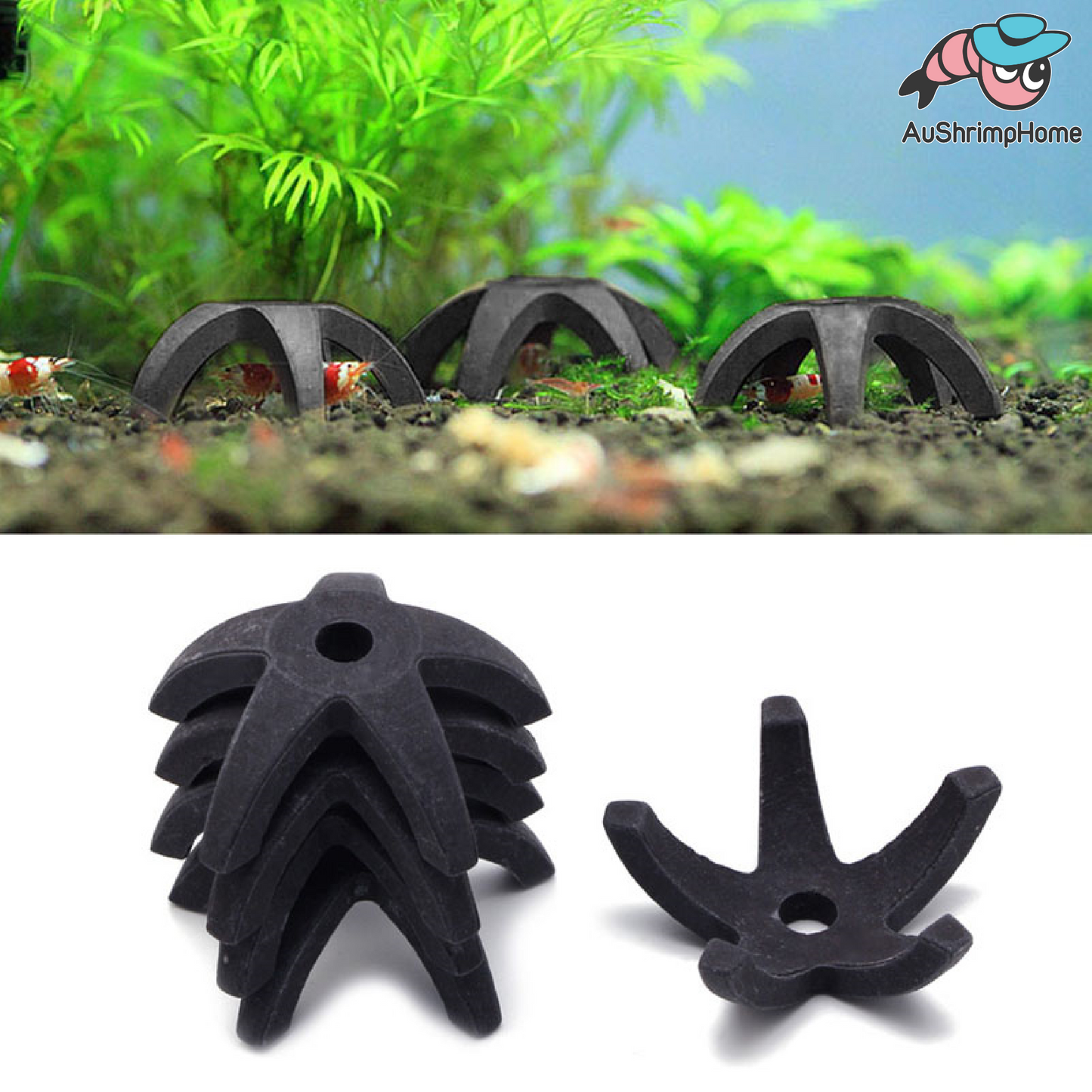 Ceramic Shelter | Small Starfish