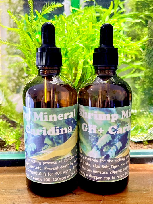 Shrimp Mineral | GH+ Caridina