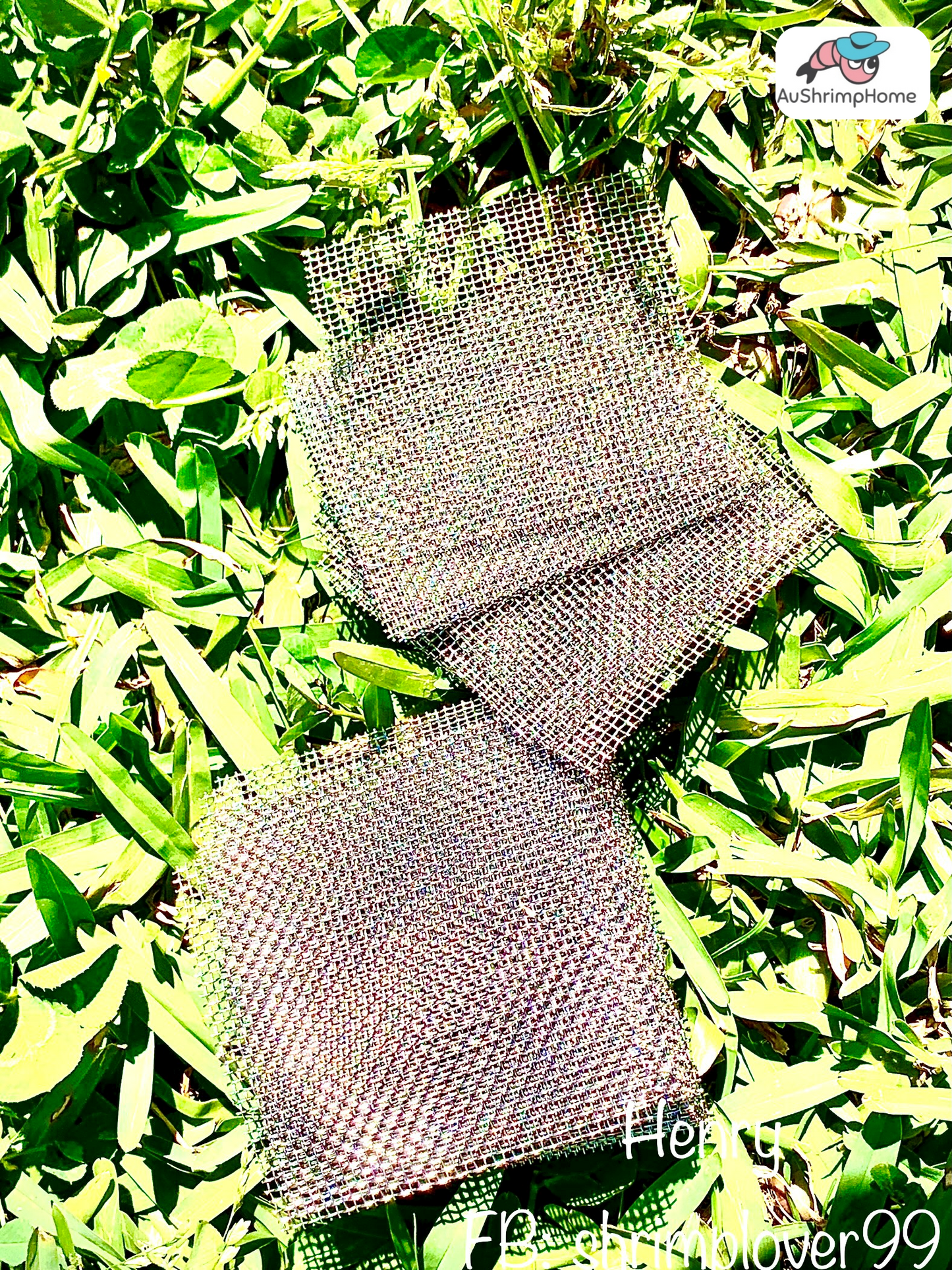 Stainless steel mesh | Best idea for tying moss