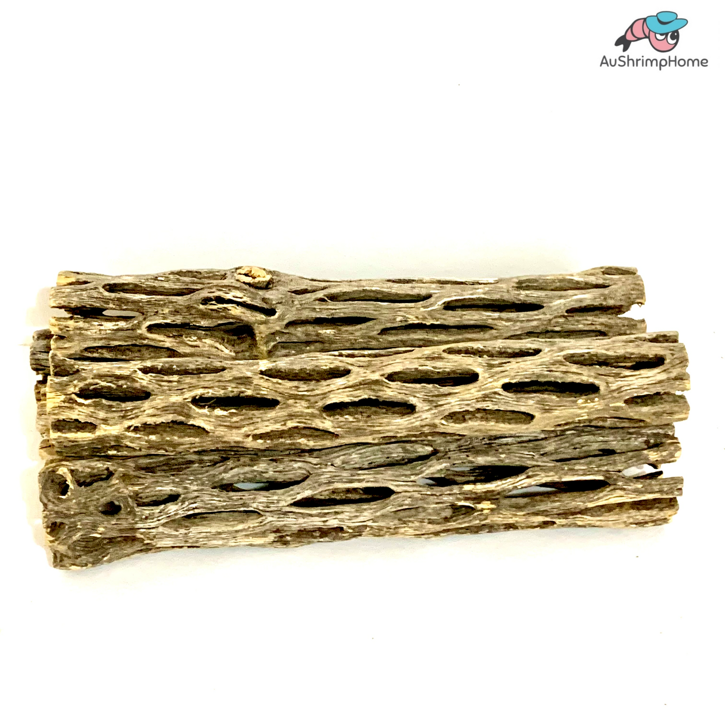 Treated Cholla Wood | 100% Chemical Free