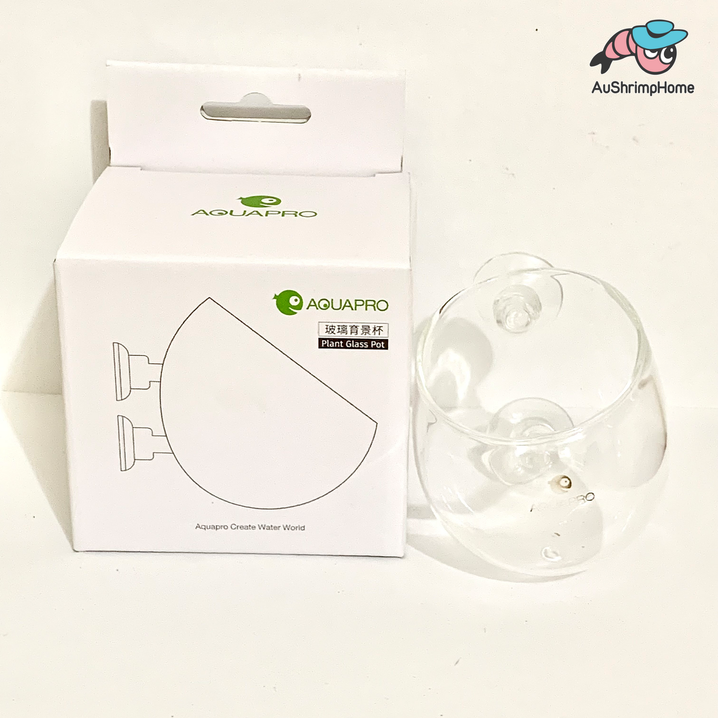 Glass Plant Pot | AQUAPRO