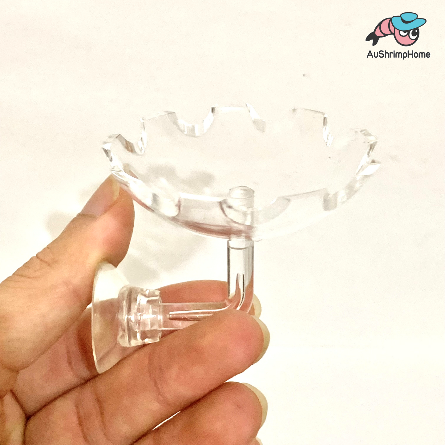 Floating Feeding Dish | Basin Shape
