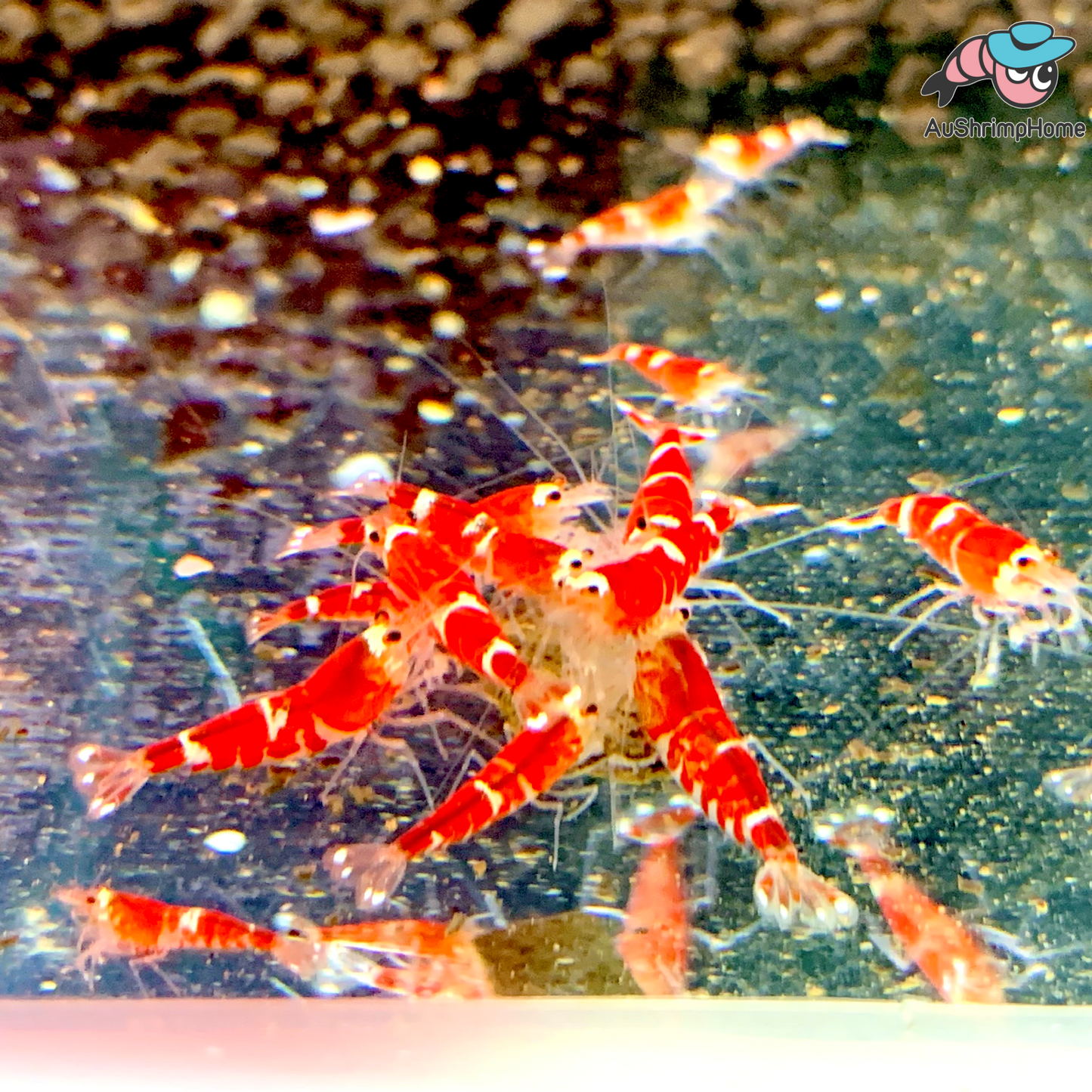 Super Red Crystal