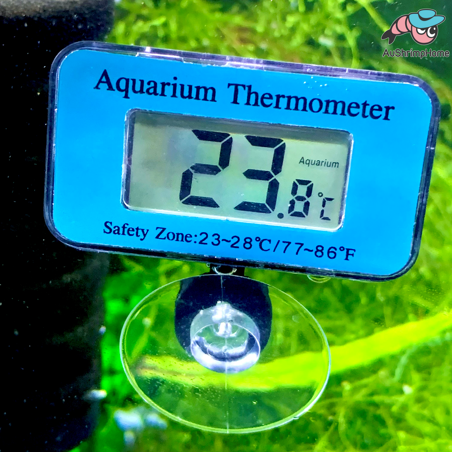 Digital Aquarium Thermometer | Submerged