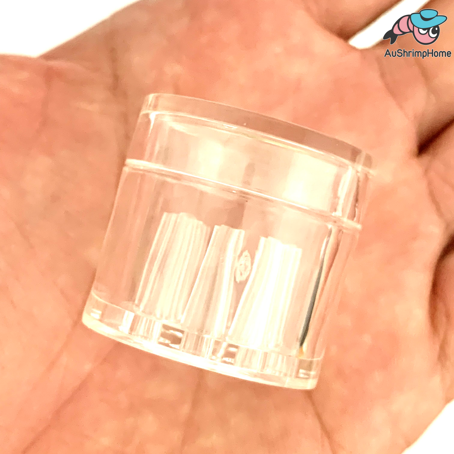 Planaria Acrylic Trap