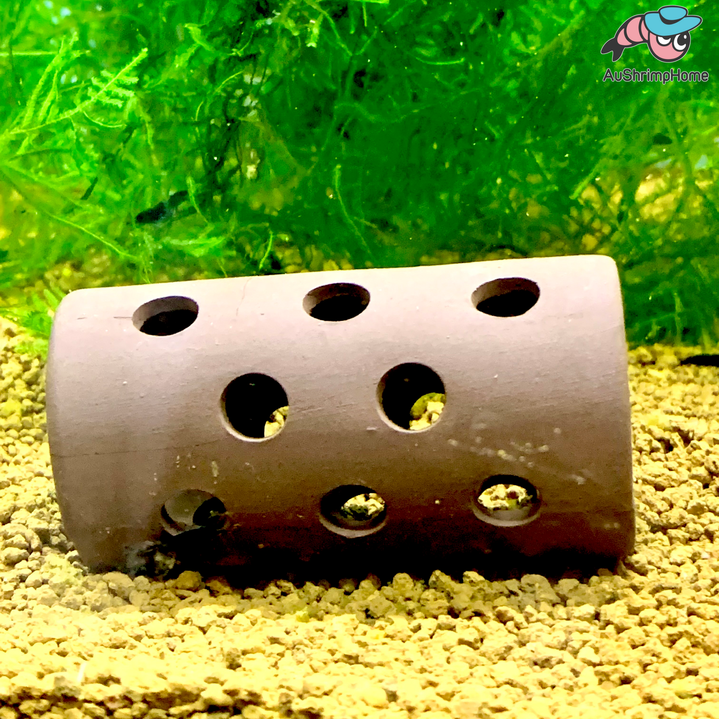 Ceramic Shelter | Cylindrical Porous