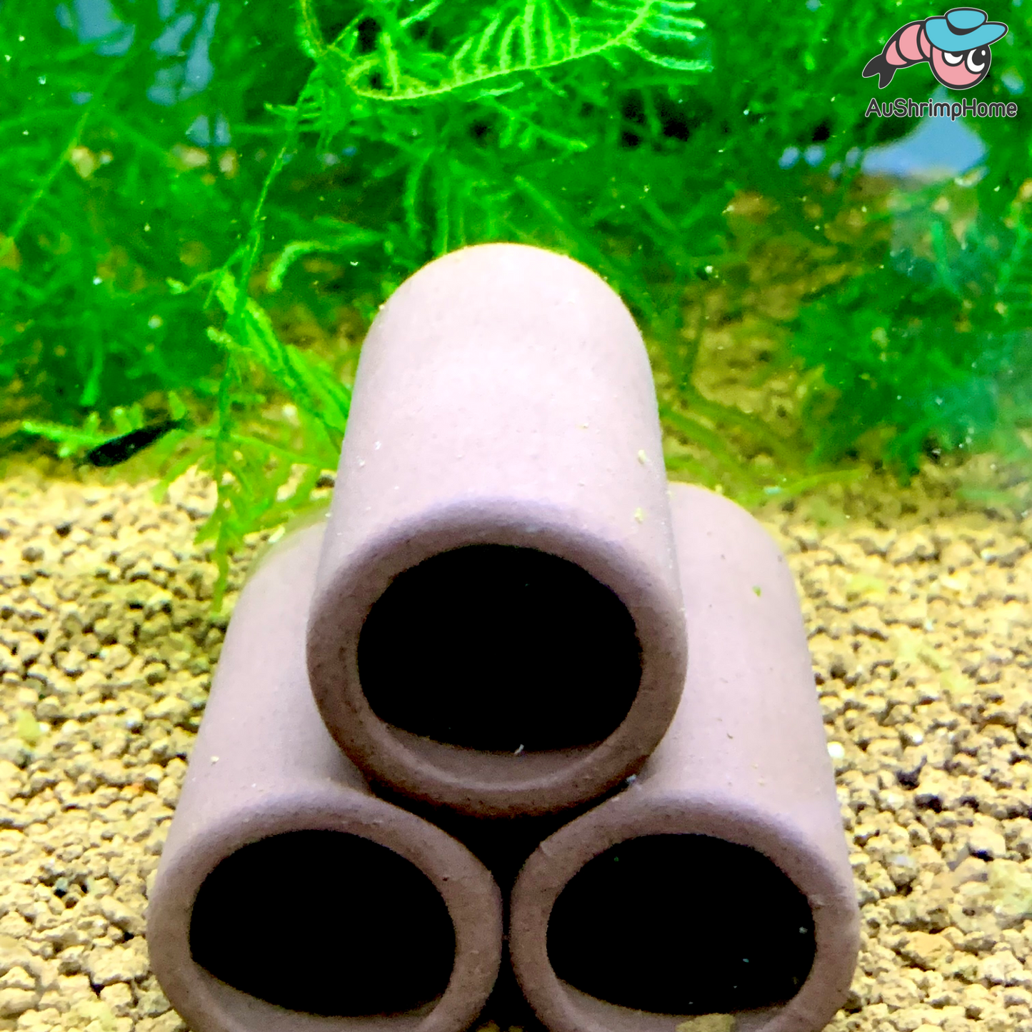 Ceramic Shelter | Three Holes