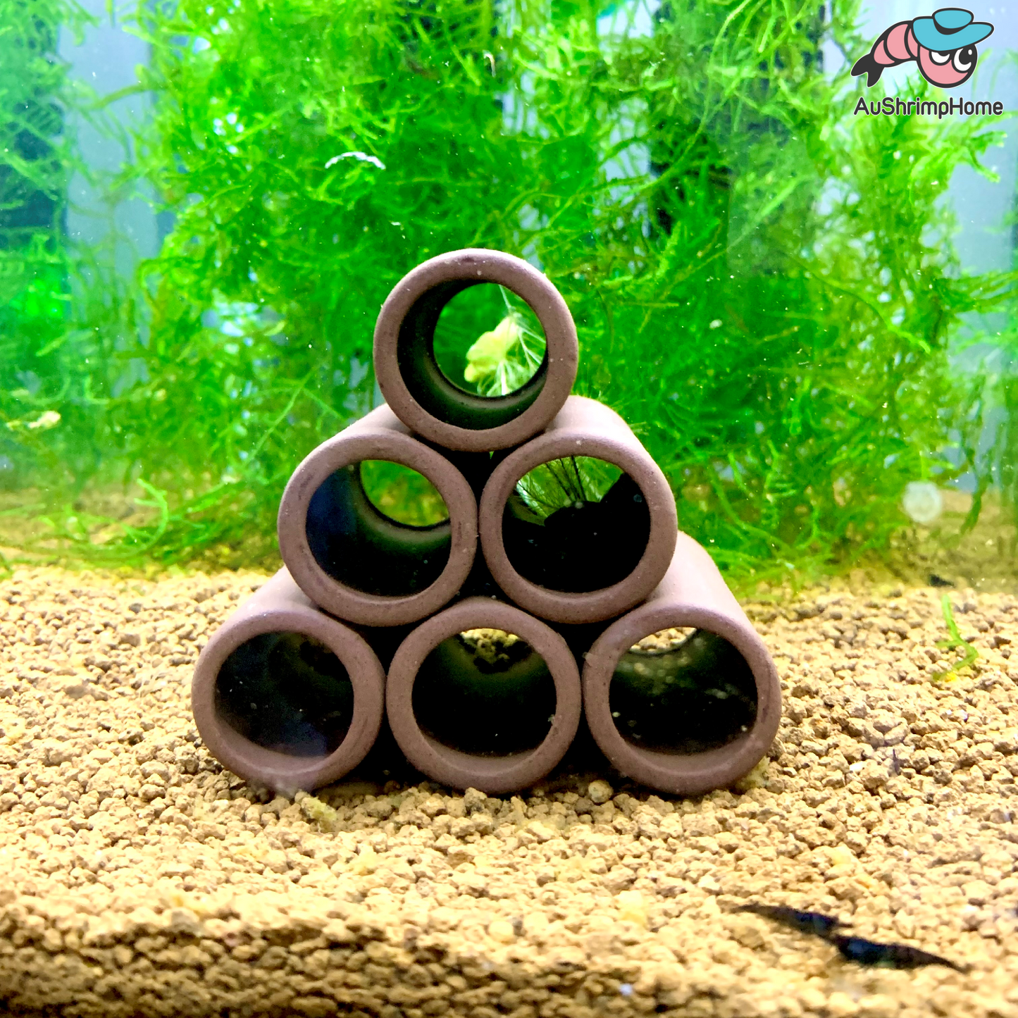 Ceramic Shelter | Six Holes