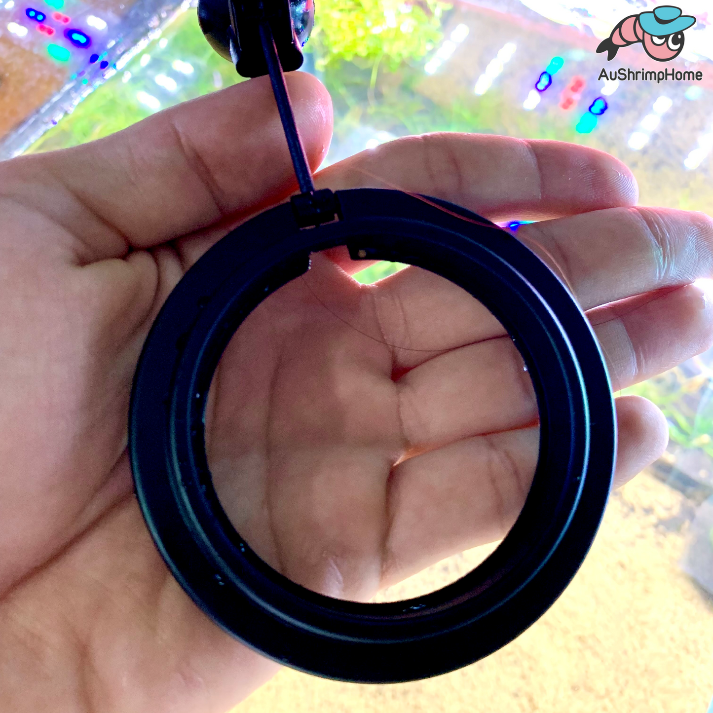 Floating Feeding Ring | Round