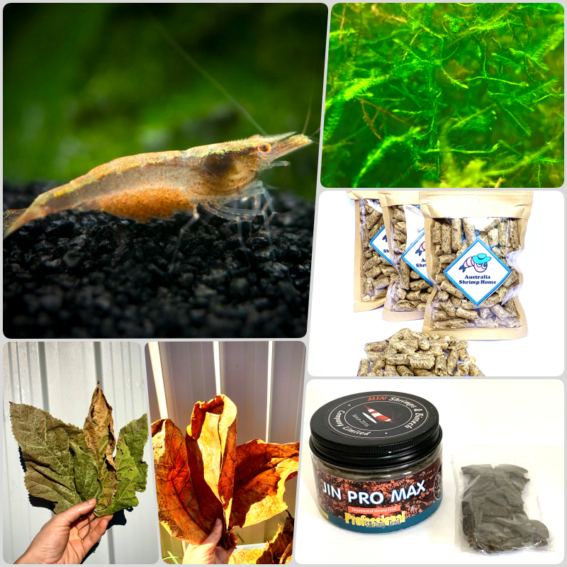 Freshwater sales shrimp food