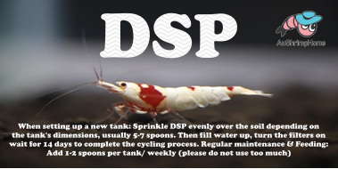 Dead Shrimp Powder | Bacteria Powder & Baby Food
