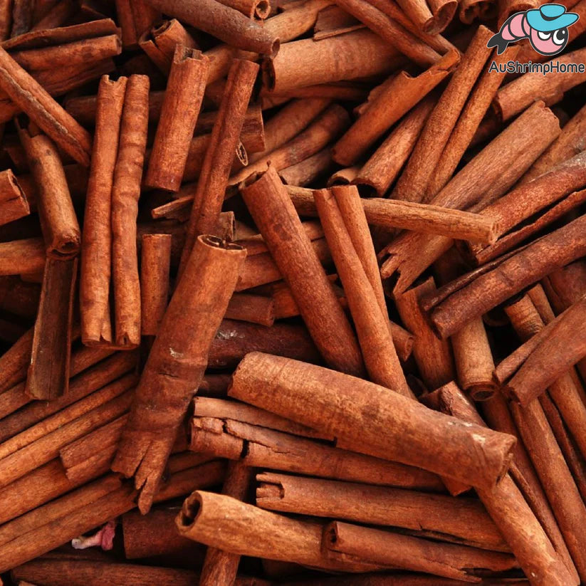 The Role of Cinnamon in Maintaining a Healthy Shrimp or Fish Tank