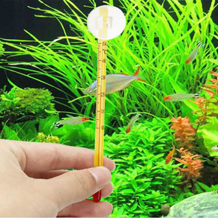 How does water temperature affect algae growth in aquariums