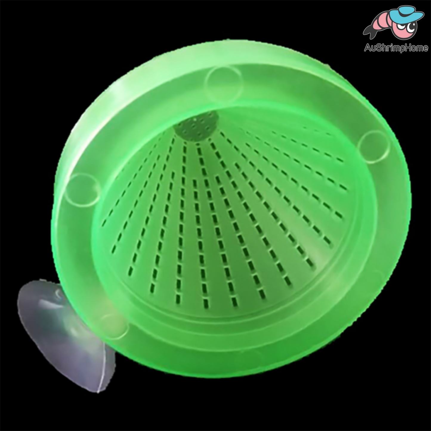 Worm Feeder | Fish Feeding Cones