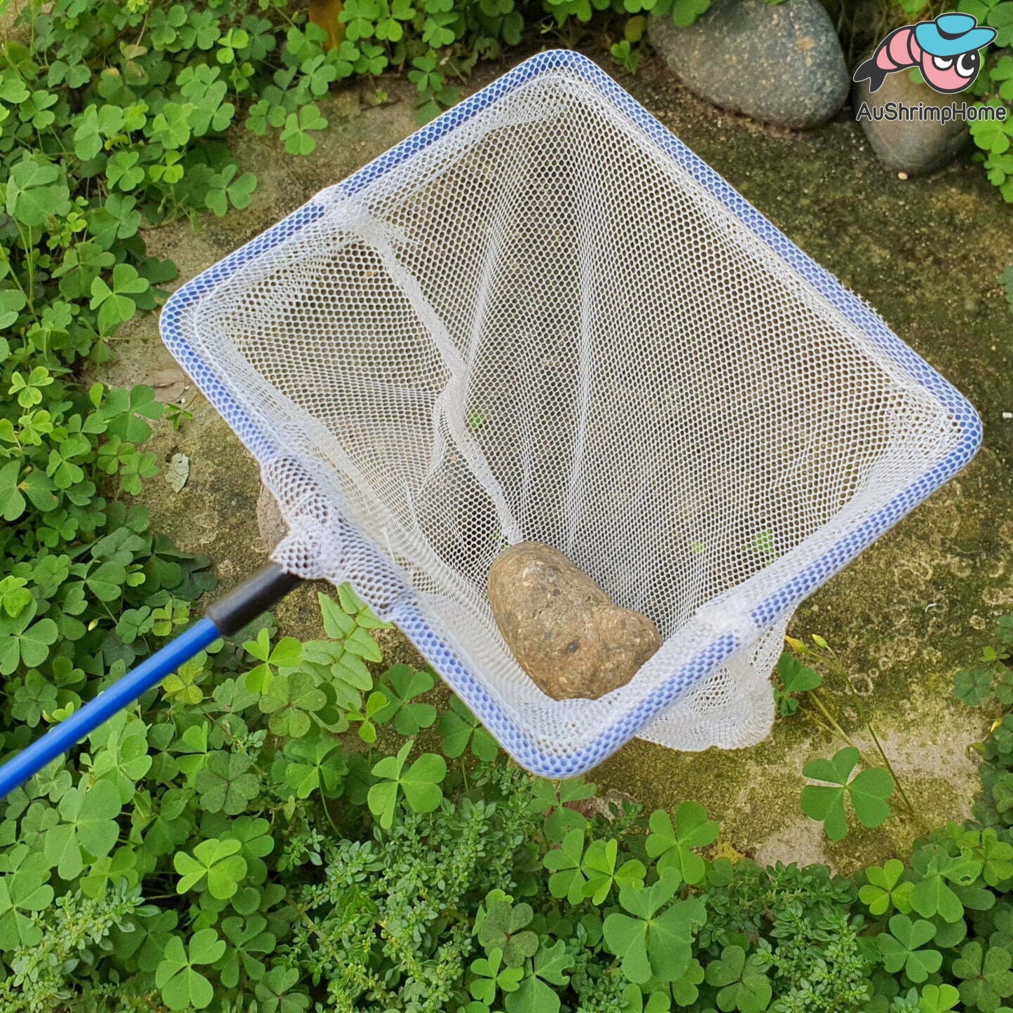 Net for Shrimp/Fish Tank