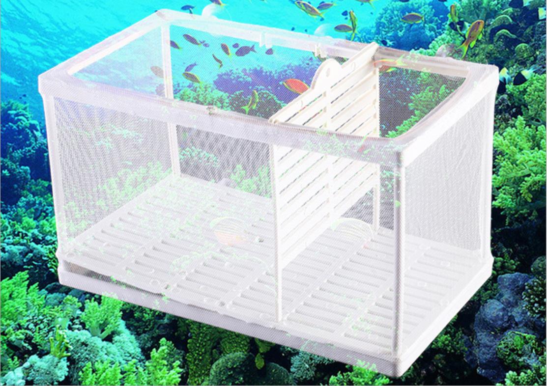 Breeding/Isolating Fish/Shrimp Mesh Box