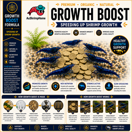 Growth Boost | Speeding up shrimp growth