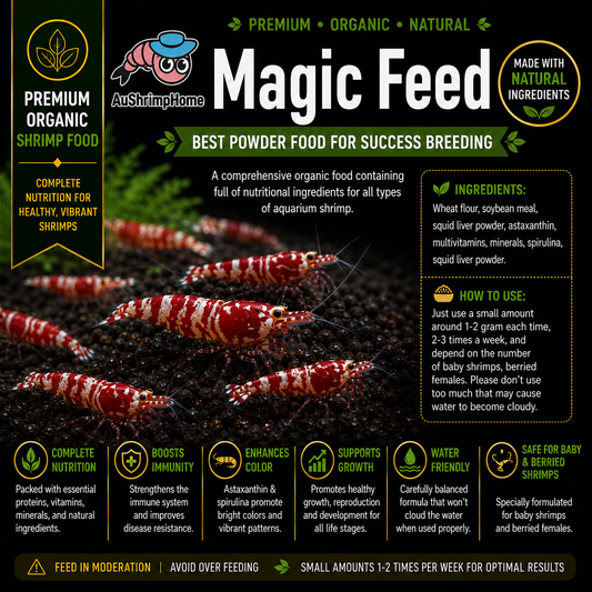 Magic Feed | Comprehensive& Organic Food